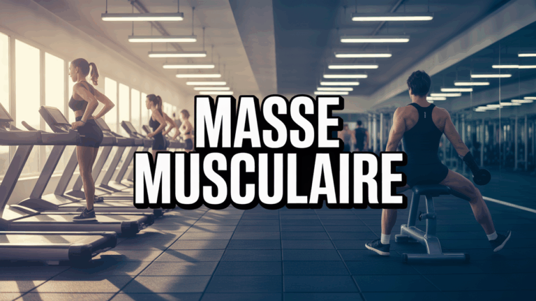 Salle de sport vue stylisee masse musculaire motivation